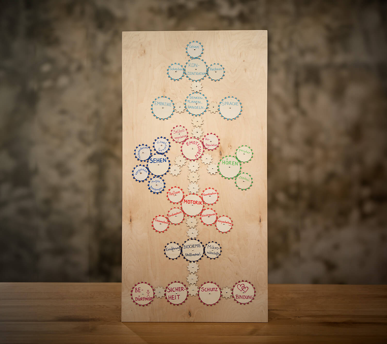 Kursaufbau mit Zahnrädern aus Holz